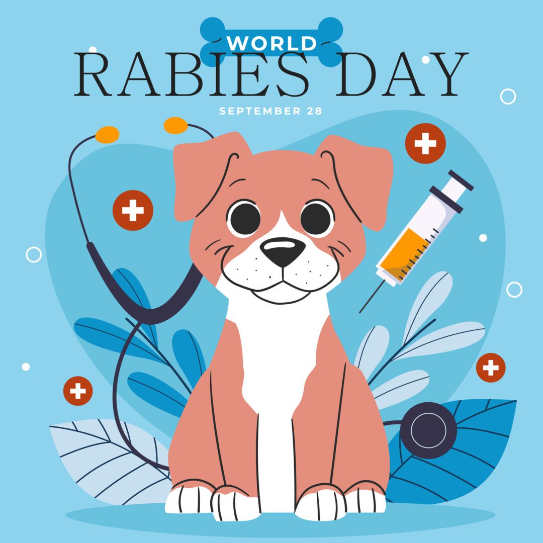 World Rabies Day personalized cause