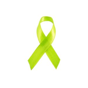 Personalized cause lime green fabric ribbon pins Lyme Disease Mental Health Mental Illness