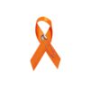 Personalized cause orange fabric ribbon pins Food Insecurity Hunger Food Deserts Gun Control Leukemia Mass Shooting Prevention Gun Control Self Harm Self Injury World Hunger