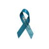 Personalized Cause Ribbons turquoise Addiction Recovery Autoimmune Dysautonomia